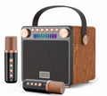 LNC Voice Amplifier with 2 Wireless Microphones, Sound Portable Speaker with Microphone, Bluetooth Speaker, Karaoke Machine